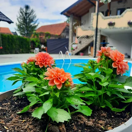 Kralje * Bihać